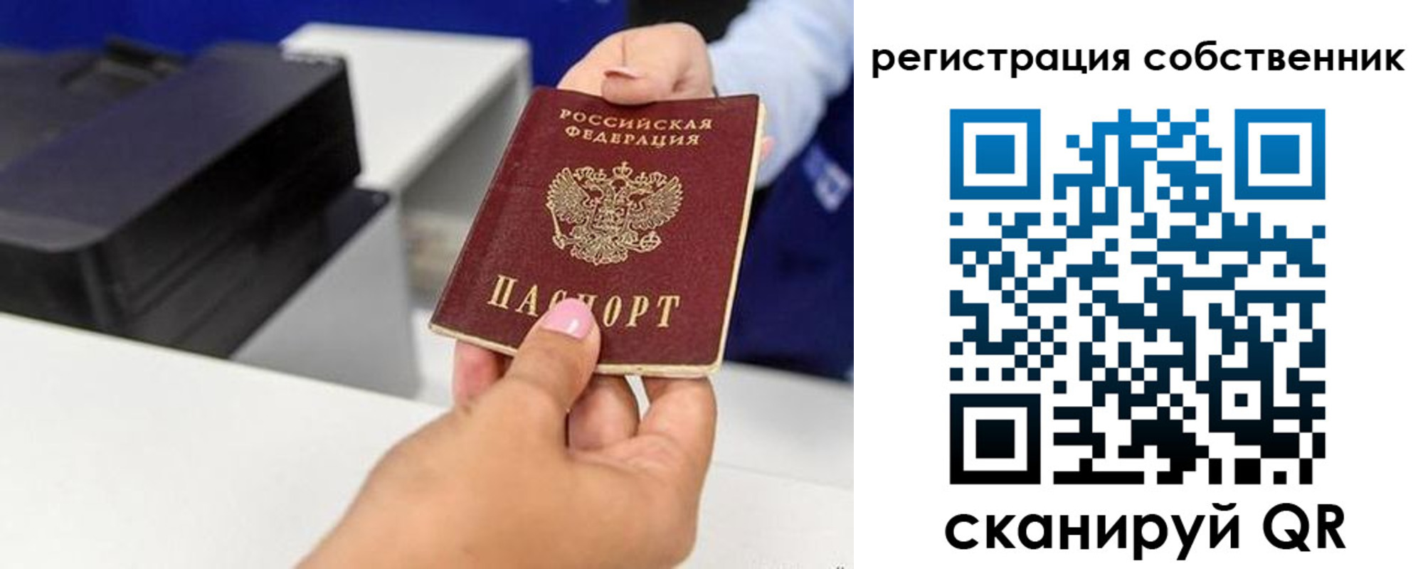 прописка для школы в Петушках